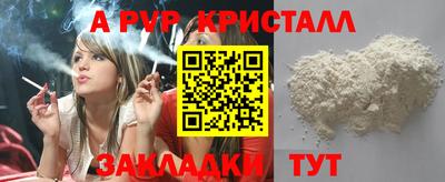 стаф Новокубанск