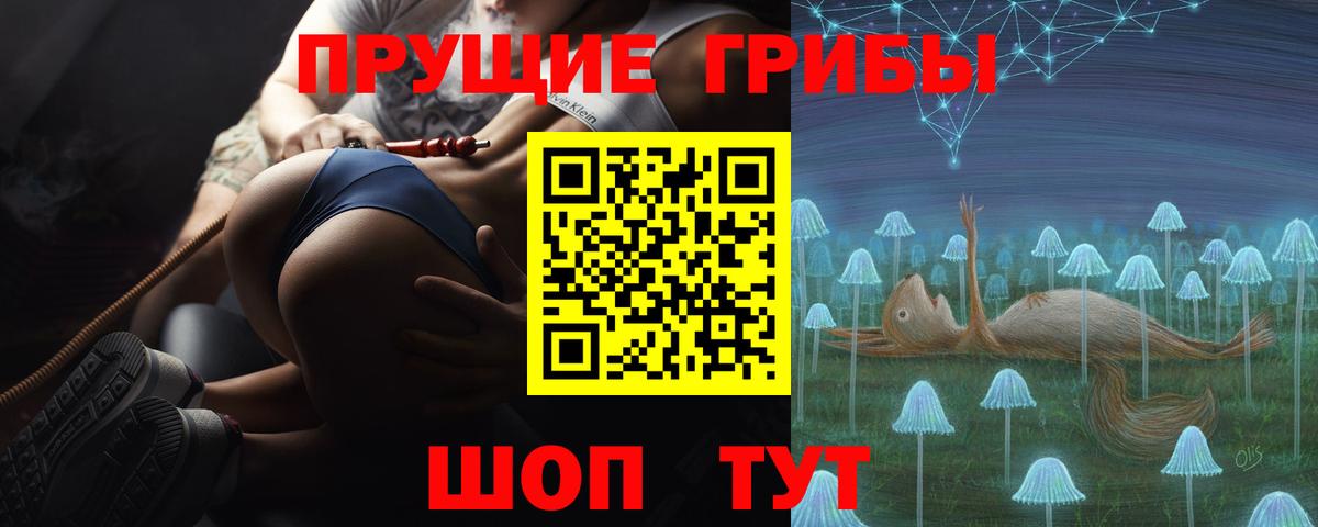 наркотики  Вход с VPN  Урай  Псилоцибиновые грибы Psilocybe 
