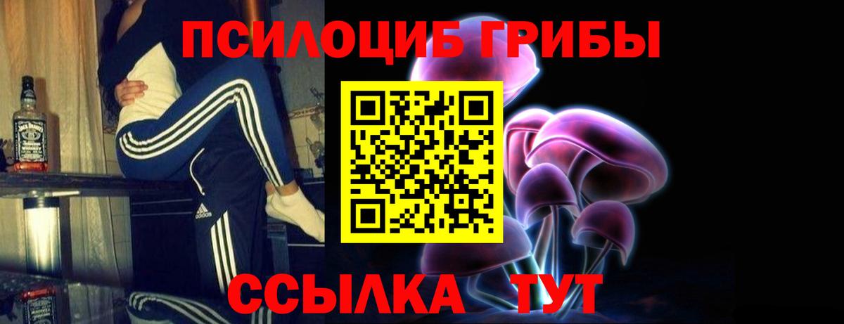 Псилоцибиновые грибы Psilocybine cubensis Урай